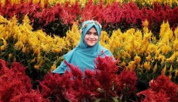 Taman Bunga Celosia Bandungan Jawa Tengah Liburan Bersama Keluarga 2018 Kissparry