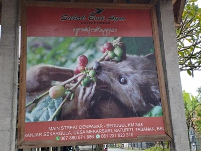 Cofee Break di Subak Bali Agro Baturiti, Tersedia Kopi Luwak Asli | Dekat Bedugul